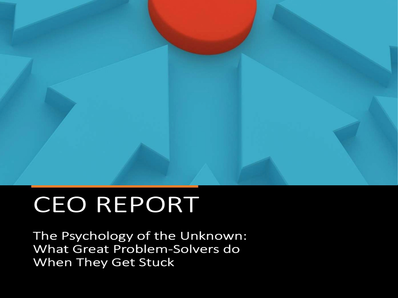 CEO report : the psychology of the unknown : what great problem-solvers do when they get stuck