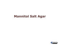 Mannitol Salt Agar