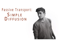 The Cell: Passive Transport Diffusion (Video)