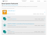 Brainscape - Renal System
