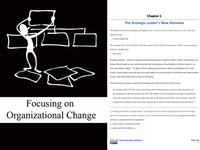 Focusing on Organizational Change