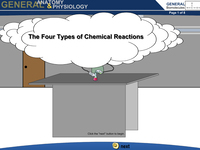 The Four Types of Chemical Reactions