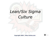 Lean/Six Sigma Culture