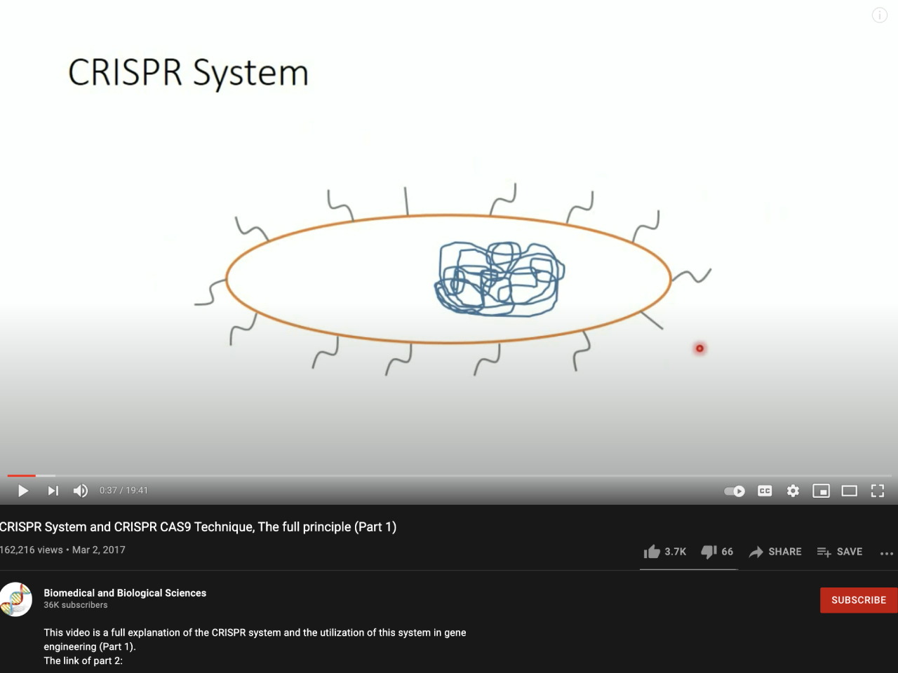 CRISPR System and CRISPR CAS9 Technique, The full principle (Part 1)