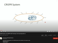 CRISPR System and CRISPR CAS9 Technique, The full principle (Part 1)