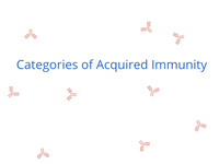 Categories of Acquired Immunity